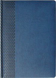 Сувенир, подарок - Ежедневник «Адъютант Бренд», недатированный, 336 стр., синий