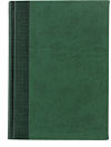 Ежедневник VELVET, датированный, 352 стр., зеленый